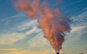 Carbon Mitigation & Climate Adaptation