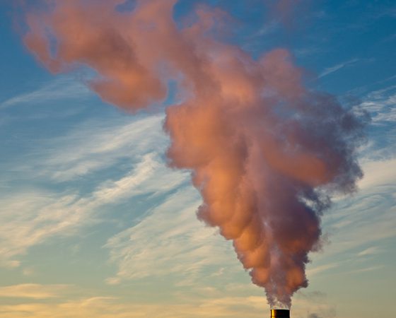 Carbon Mitigation & Climate Adaptation