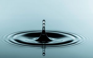 Resource Efficiency: Water, Agriculture & Sustainable Inputs